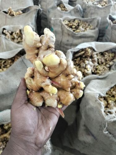 fresh ginger