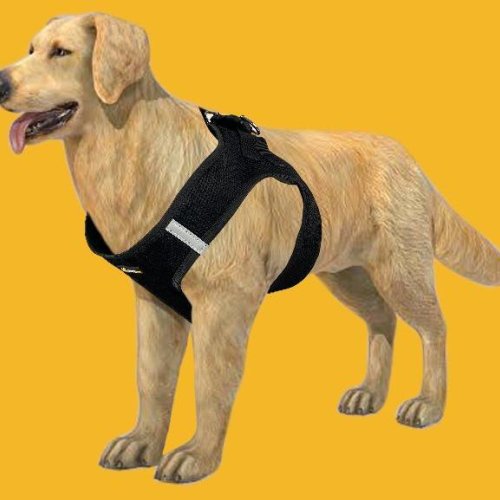 BFF Air Mesh Harness with Reflector Band