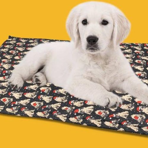 BFF Christmas Mattress