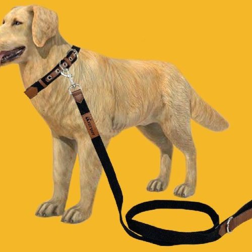 BFF Leather & Cotton Black Leash & Collar