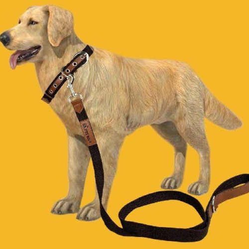 BFF Leather & Cotton Brown Leash & Collar