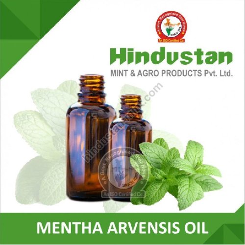 Crude Mentha Arvensis Oil 72%