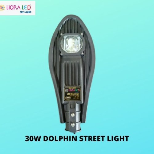 Liora 30W Dolphin LED Street Light