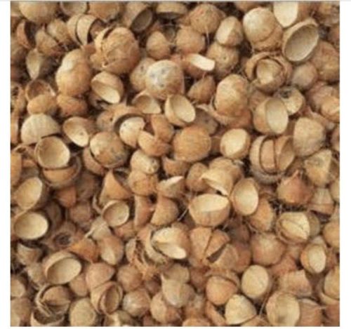 Coconut Shells