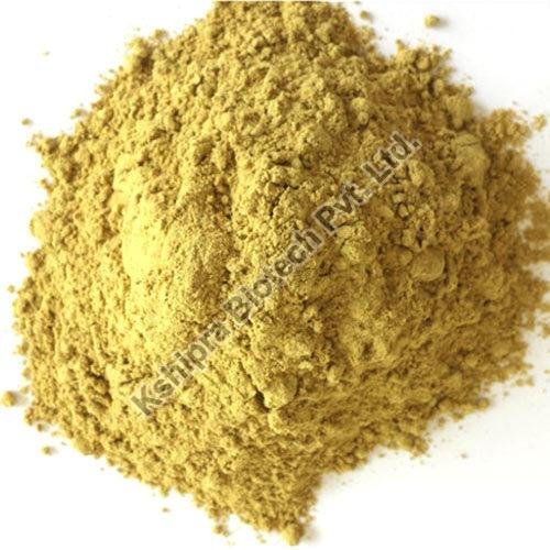 Asparagus Racemosus Shatavari Extract