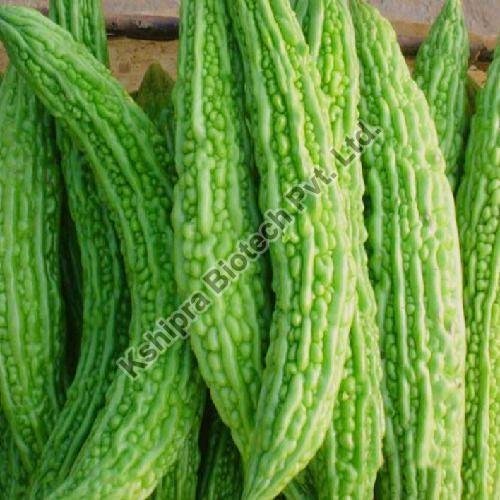 Bitter Gourd Extract