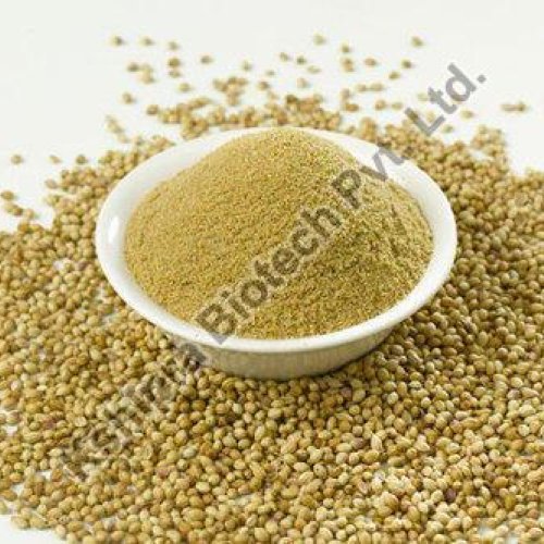 Coriander Extract Coriander Extract