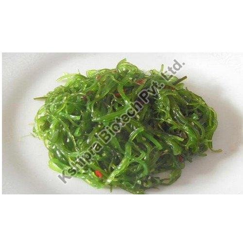 Kelp Extract