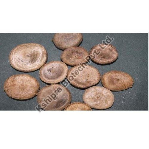 Nux Vomica Extract