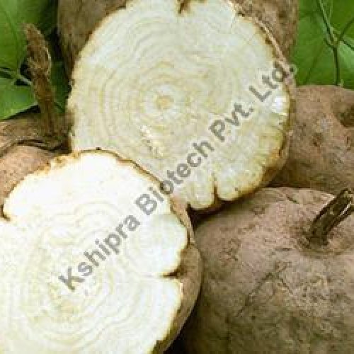 Pueraria Mirifica Extract