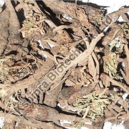 Pyrethrum Dry Extract
