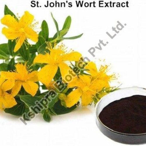 St.John Wort Extract