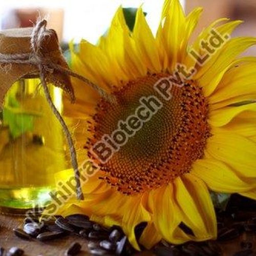 sunflower extract