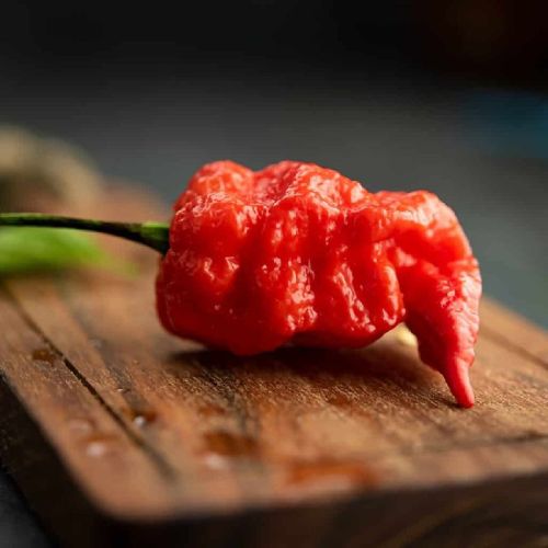 ghost pepper