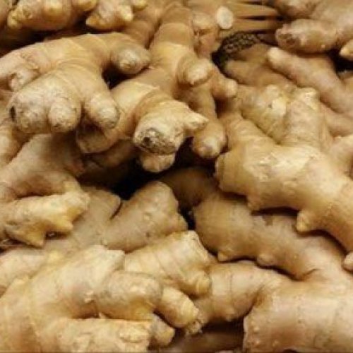 Fresh Ginger