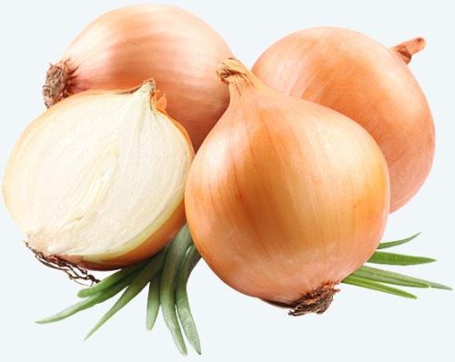 Fresh Onion