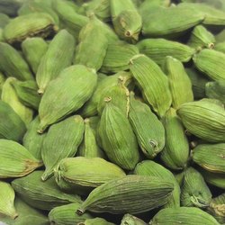 Green Cardamom