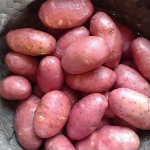 Red Potato