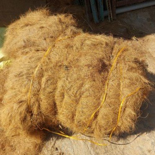 Coir Fiber
