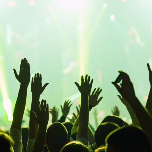 Musical Event Organizing Services