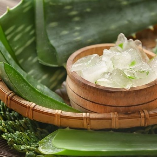 Aloe Vera Pulp