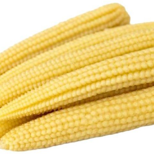Fresh Baby Corns