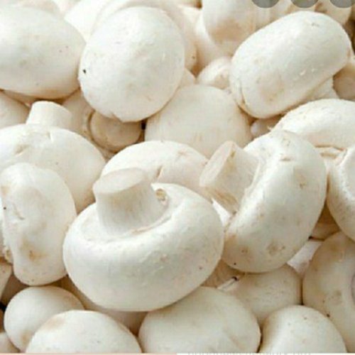 Fresh Button Mushroom