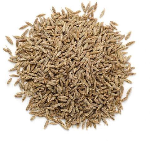 Cumin Seeds