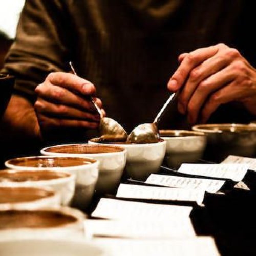 Coffee Testing Services