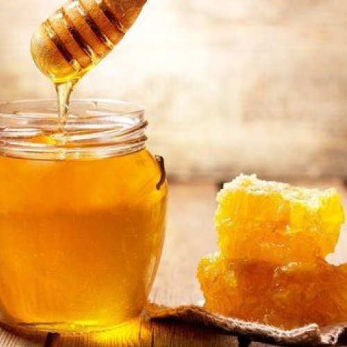 Honey Testing Services
