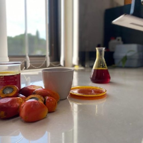 Crude Palm Oil