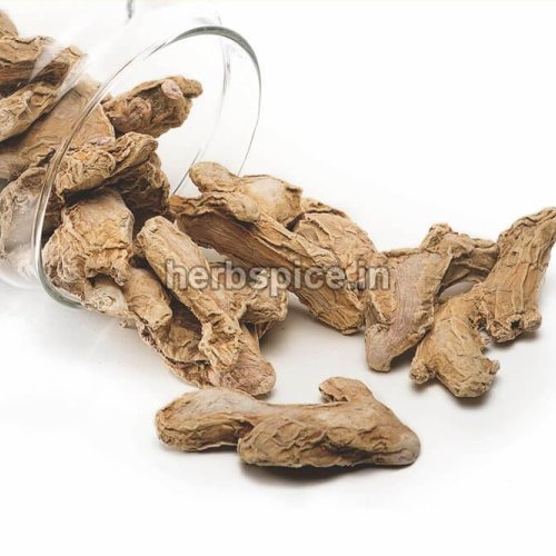 Dried Ginger