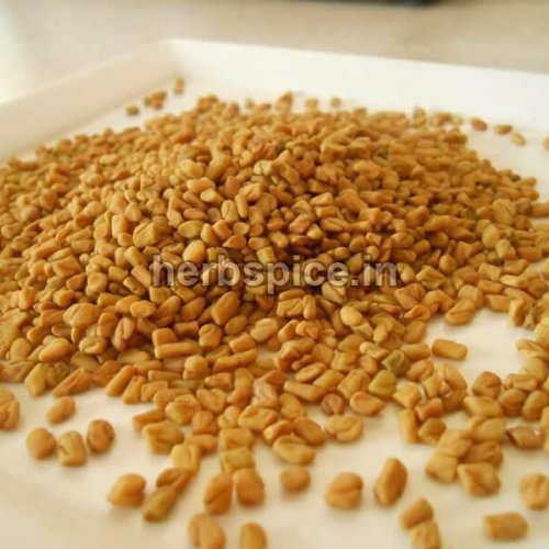 Fenugreek Seeds