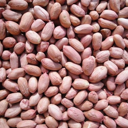 Groundnut Seeds