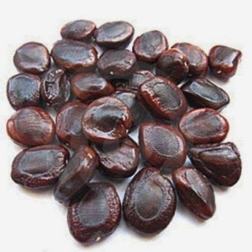 Tamarind Seeds