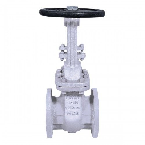 AV-288 (CF8) C.S.S. Gate Valve
