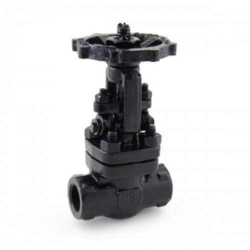 AV-301 F.C.S. (A105) Gate Valve