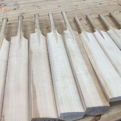 Classic Kashmir Willow Cricket Bat