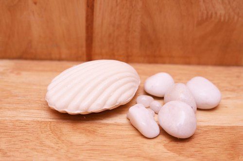 Shell Shaped Soap