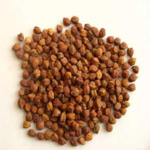 Brown Chana
