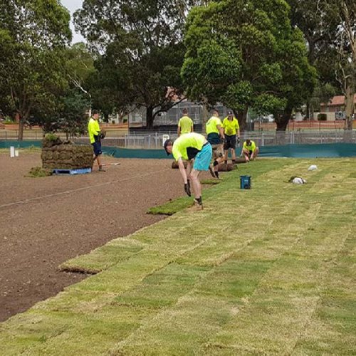 Sports Ground Ground Maintenance Services