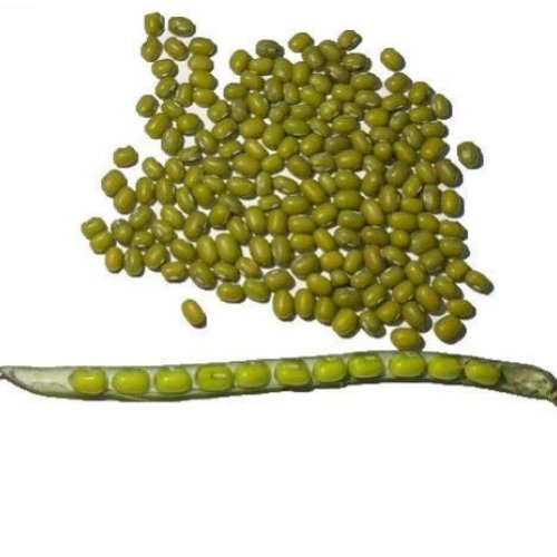Green Mung Beans