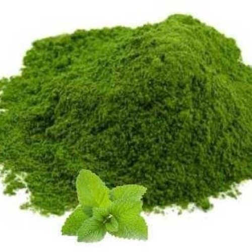 Dehydrated Mint Powder