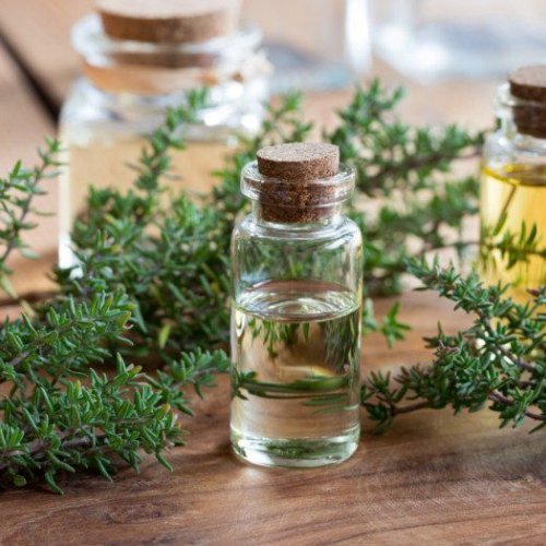 Thyme Essential Oil
