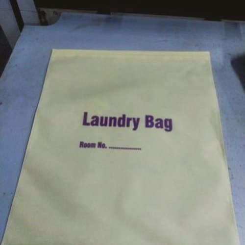 Non Woven Laundry Bag