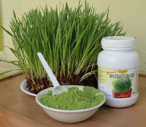 Wheat Grass Powder
