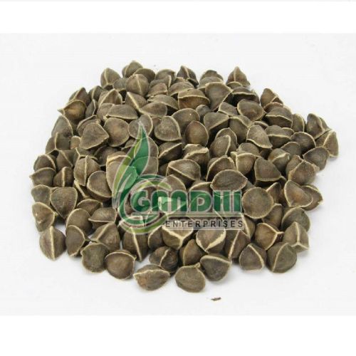 Moringa Seeds