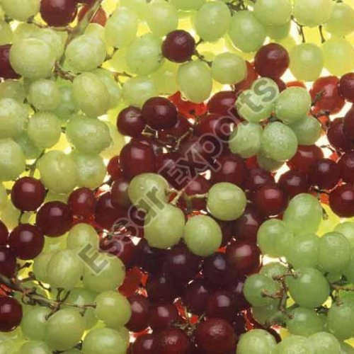 Fresh Grapes