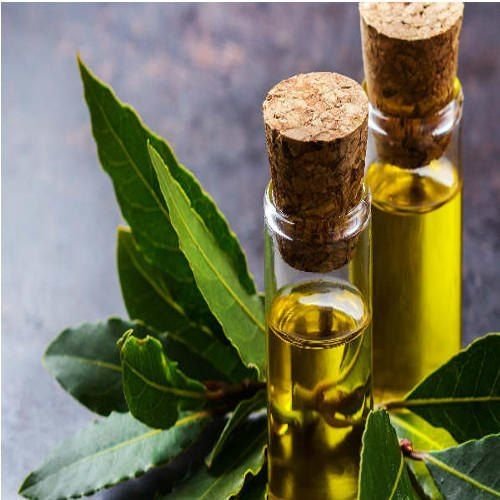 Bay Leaf Oil