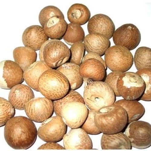 Betel Nuts